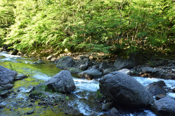 From Oku-kinu to Kinu-numa, Tochigi