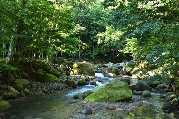 istock trekking around green hills and river in summer 1391684425