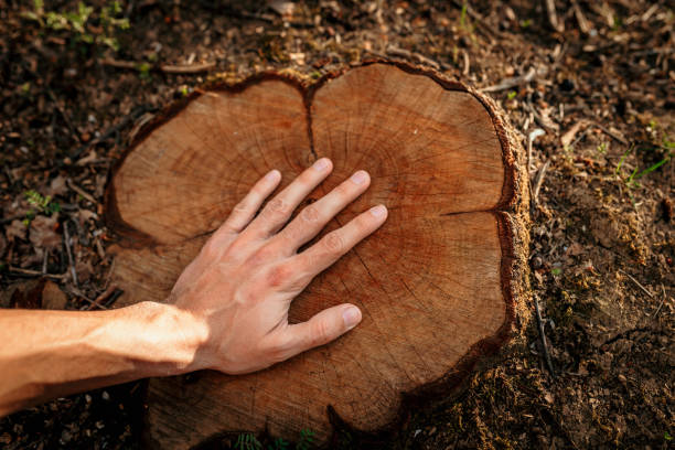 istock We have to safe our Planet! 1391685593