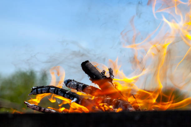 orange flame of fire while burning branches and firewood, burning wood and firewood in nature while cooking barbecue food, out of focus