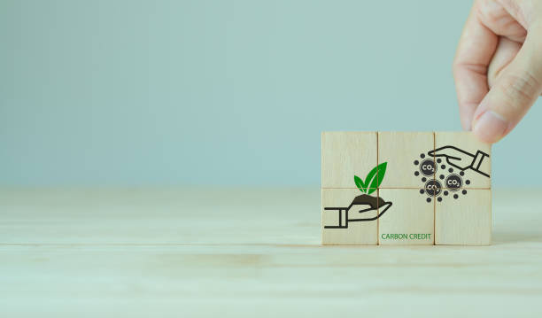 Carbon credit trading. Tradable certificate to drive industry and company in the direction of low emissions in efficiency cost. Wooden cubes with CO2, US dollars and carbon offsetting solution icons. comercio de créditos de carbono. certificado negociable para impulsar a la industria y la empresa en la dirección de bajas emisiones en el costo de eficiencia. cubos de madera con co2, dólares estadounidenses e iconos de soluciones de compensación de