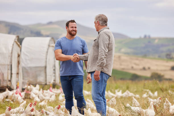 photo de deux hommes se serrant la main alors qu’ils travaillaient ensemble dans une ferme avicole - agriculture chicken young animal birds photos et images de collection
