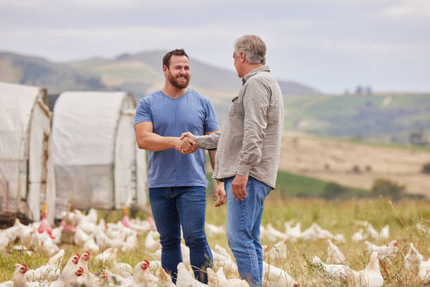 shot of two men shaking hands while working together on a poultry farm - agriculture chicken young animal birds imagens e fotografias de stock