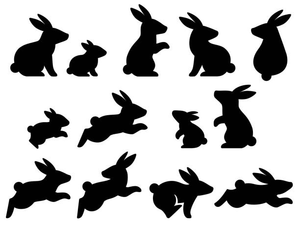 Rabbit silhouette illustration set Illustration set of rabbit silhouettes in various poses (parent and child) silhouette of a black and white rabbit stock illustrations