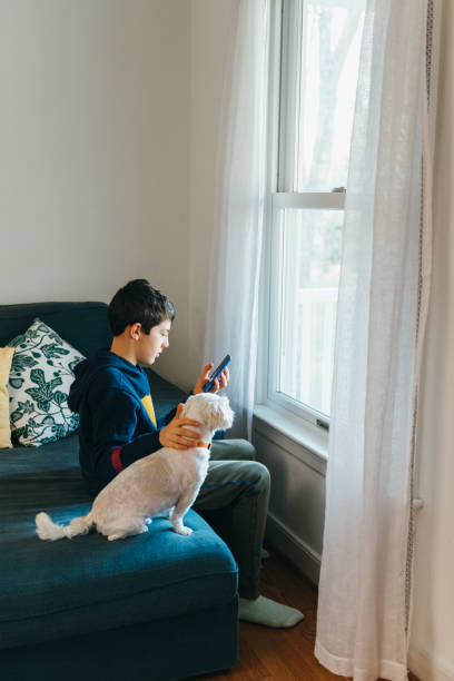 istock Boy petting dog and using phone 1391710501