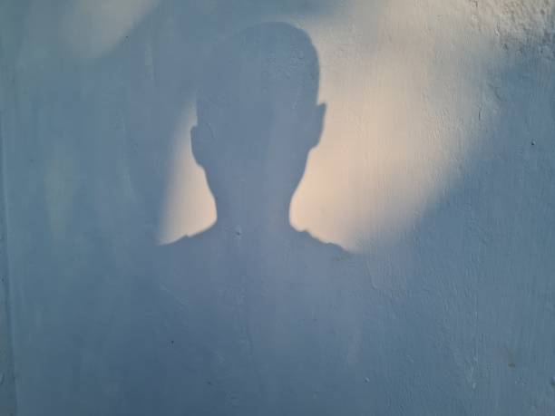 istock Shadow of a boy 1391712354