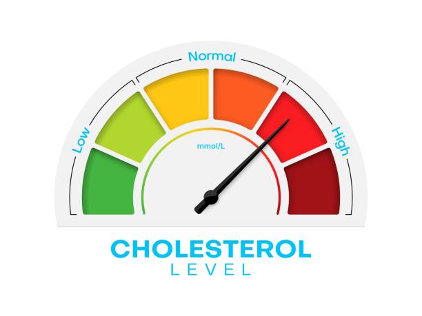 Cholesterol level meter with high and low fat test Cholesterol level meter with high and low fat test, vector blood risk and good or bad health control. Cholesterol level meter gauge with arrow indicator for healthcare and heart heath analysis colesterol stock illustrations