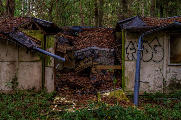 Ruins of a holiday village near Bakenberg, Mecklenburg-Western P Bakenberg, Mecklenburg-Western Pomerania, Germany - October 12, 2020: Ruins of a holiday village of the former German Democratic Republic baseball rundown stock pictures, royalty-free photos & images