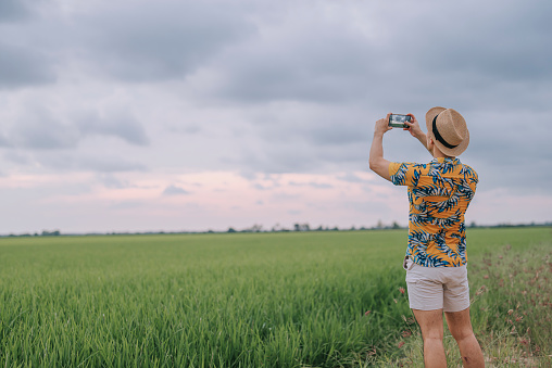 Asian chinse male tourist photographing rice paddy field with smart phone