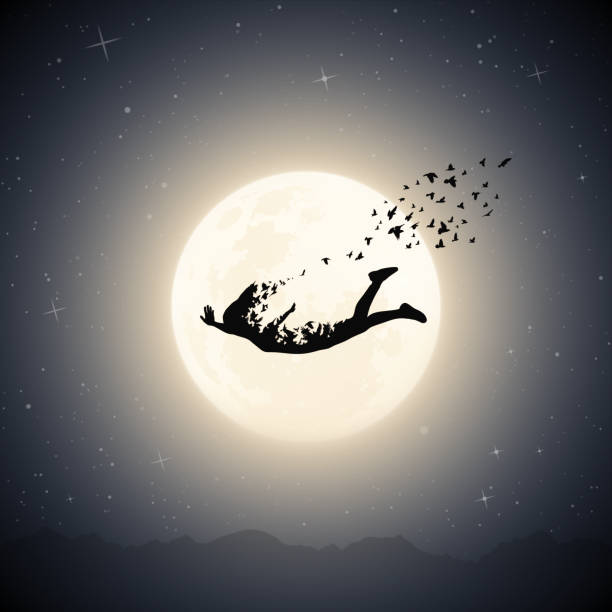 Falling girl outline in dream Suicide, death and afterlife. Full moon dead bird stock illustrations