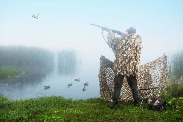 caçador atirando no céu durante a caça de patos ao nascer do sol. caçando com patos chamaram a isca na margem do rio. - decoy - fotografias e filmes do acervo