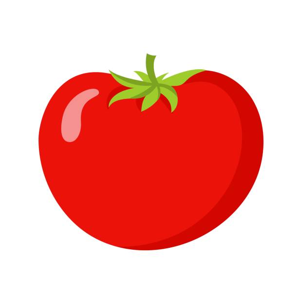 illustrazioni stock, clip art, cartoni animati e icone di tendenza di pomodoro giardinaggio agricoltura illustrazione vettoriale isolata su sfondo bianco - cherry tomato