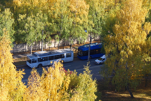 Trolleybuses stand on the side of the road in the city, top view.