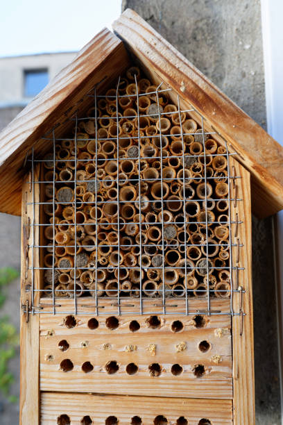 istock Bee hotel with filled nest tubes 1391736953