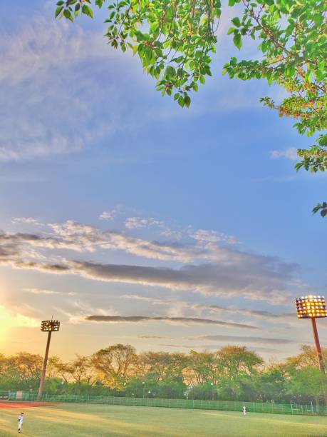 istock Baseball field in the evening 1391738852