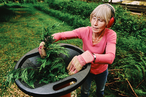 Female gardener feeding twigs and thin branches into an electric garden shredder for composting.