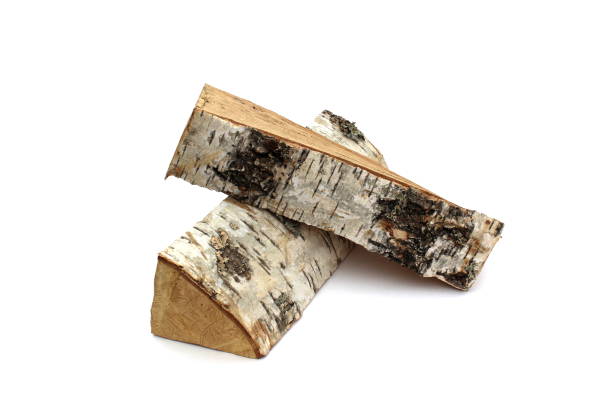 istock Several logs of birch firewood lie on a white background. 1391740234