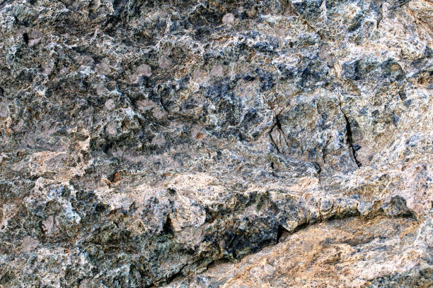texture abstraite d’une grosse pierre, photographiée de près. - meat and alternatives photos et images de collection