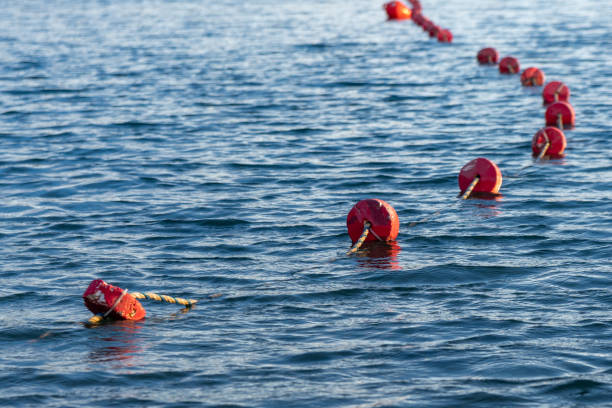 istock swimming area marked with red floating spheres on rope 1391745307