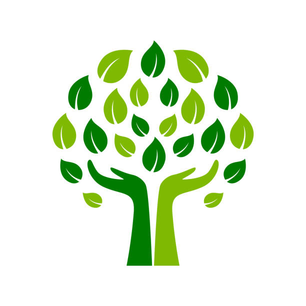 ręce trzymające liście tworzące drzewo. ludzka troska o przyrodę. - leaf human hand computer icon symbol stock illustrations