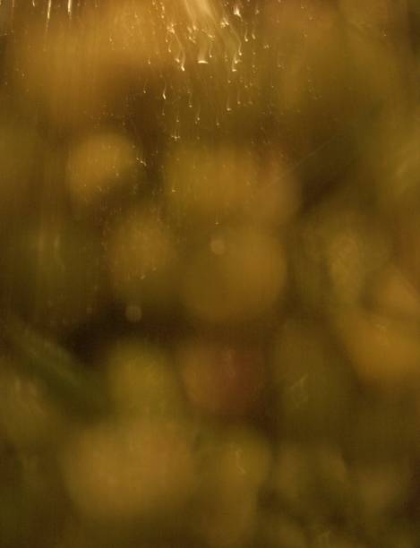 istock Death in Tomatillos 1391763229
