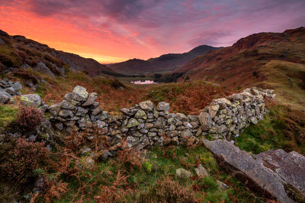 Stone wall with colourful sunrise sky over mountain landscape taken in the Lake District National Park. A fiery sunrise looking towards Blea Tarn from Side Pike in The Lake District, UK. The photograph shows an old stone wall, surrounded by Autumnal foliage. langdale pikes stock pictures, royalty-free photos & images