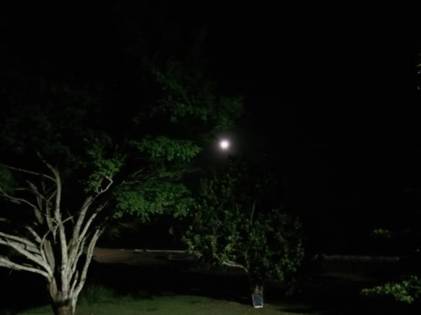 istock From Dawn with the Moon and the Sea 1391764265