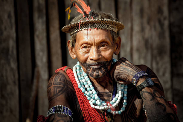 Leader of the Asurini indigenous tribe in Brazil Head and shaman of the indigenous Asurini tribe of the Xingu River at Baixo Amazonas, Brazil. chief leader stock pictures, royalty-free photos & images