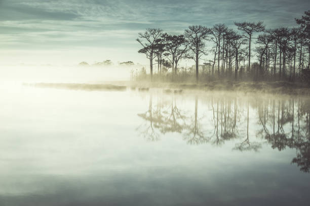 istock Sunrise over water with foggy 1391767227