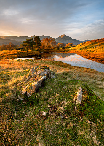 A beautiful Autumn evening at Kelly Hall Tarn near Coniston in the Lake District, UK. Golden light from the setting sun illuminates the rocks and hillside in the landscape with a stunning view of The Old Man of Coniston in the background.