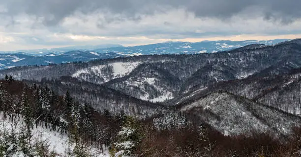 Nearer hills of Kysucke Beskydy and Moravskoslezske Beskydy mountains on the background from hiking trail between Velka Raca and Stara Bystrica in Slovakia during mostly cloudy winter day