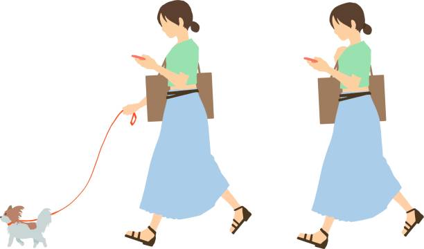 ilustrações de stock, clip art, desenhos animados e ícones de the two women are "women who look at their phones while walking" and "women who look at their phones while walking and also walk their dogs." - animal cell illustrations