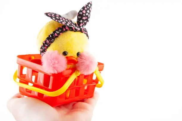 Photo of image of toy duck basket hand white background