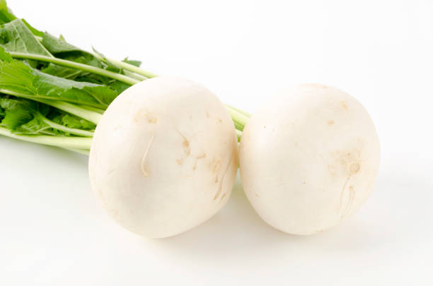 istock Japanese White Turnip on white background 1391772329