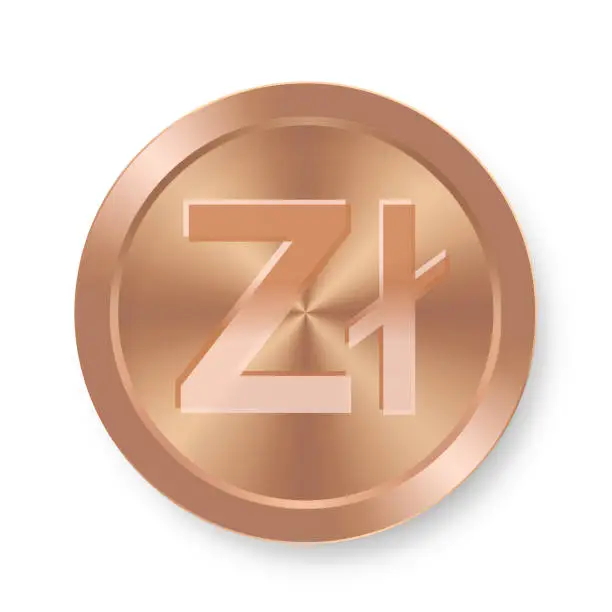 Vector illustration of Bronze coin of Zloty Concept of internet web currency