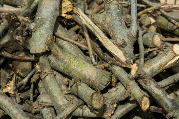 istock Background of sawn branches. Firewood for a fire. 1391775767