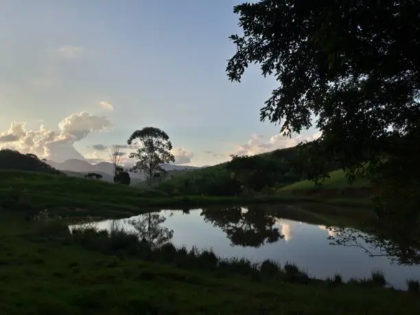 Lake image with reflections of certain sharpness of tree shadows.