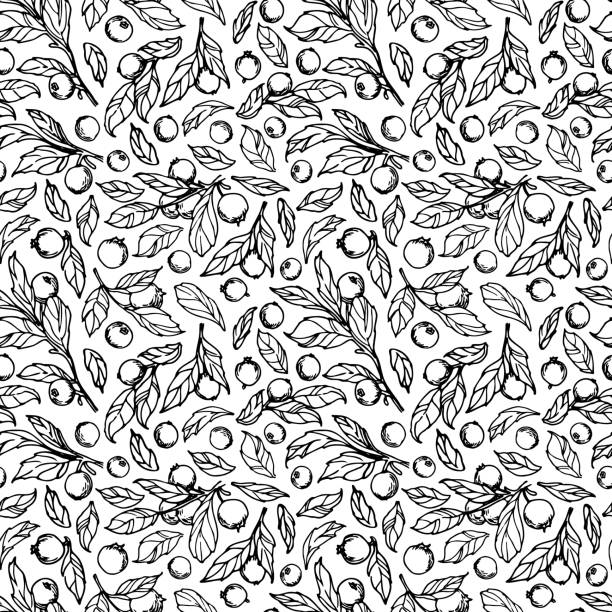 Berry Basic Patterns 30+ Berrypattern Illustrations, Royalty-Free Vector Graphics & Clip Art ...