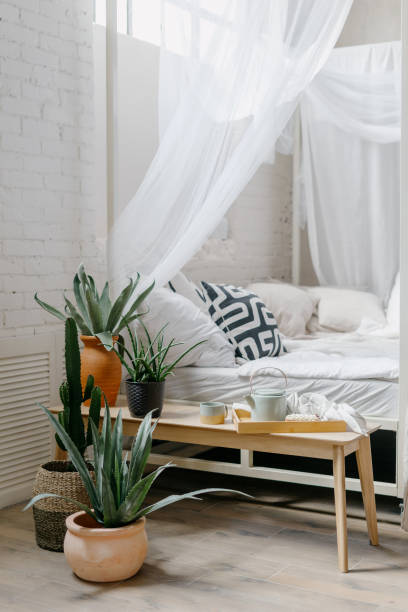 istock Breakfast tray, home decor and houseplants in bright boho bedroom 1391781092