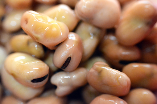 A close up of raw uncooked Egyptian fava beans which is the main dish and sandwich in the breakfast in Egypt, It's the main dish in Ramadan month before fasting, selective focus of broad faba beans