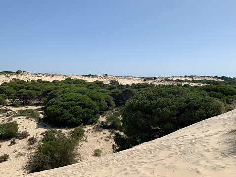 View across the coastal plains of the Doñana National park in Andalucía