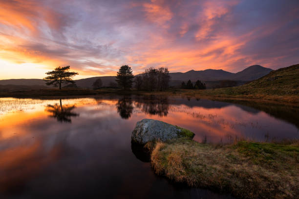 istock Reflections at Sunset, Kelly Hall Tarn, Lake District, UK. 1391782332