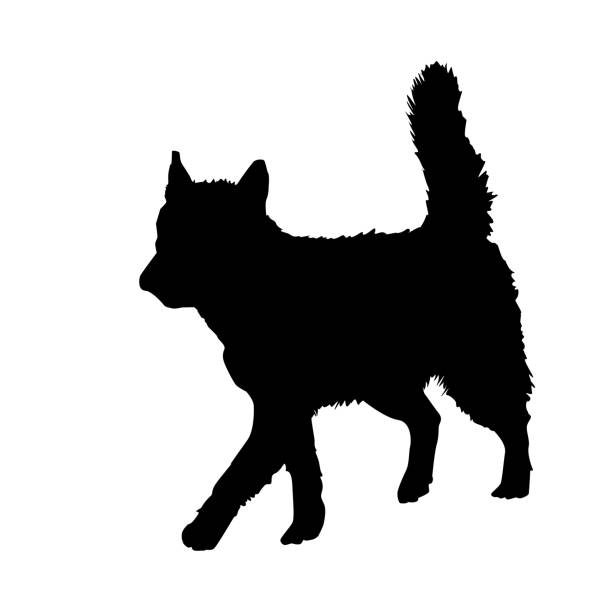 istock Dog silhouette isolated on white background. Walking siberian husky. 1391782610