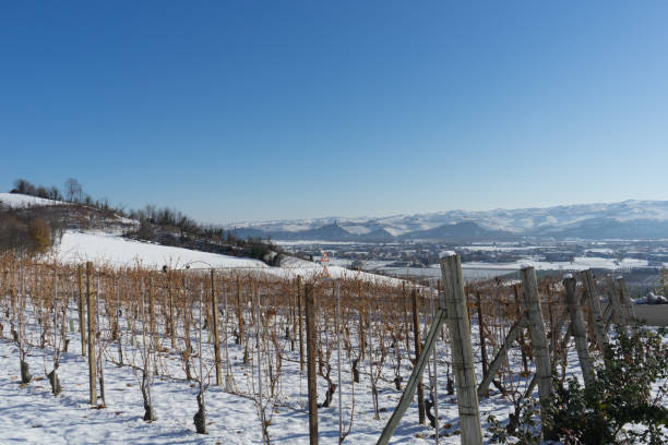 istock View of the Langhe hills with snow 1391784148