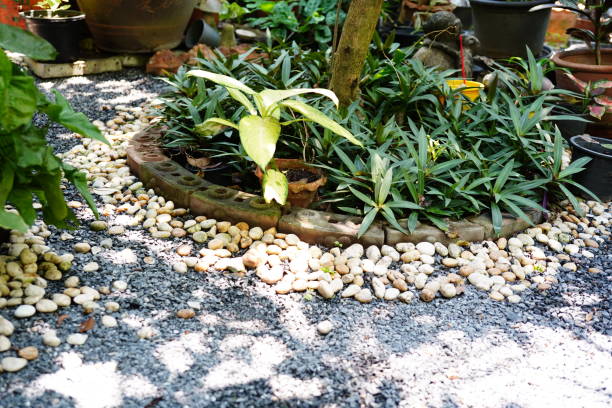 istock Stone on white gravel in garden 1391785525