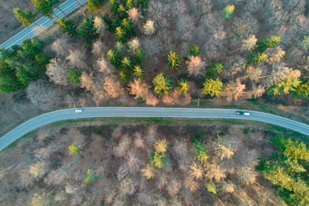 istock Journey through serpentine in the German mixed forest in the spring evening. Aerial view of road lined with bare trees. High angle shot in the evening in Europe. Driving cars. 1391787828