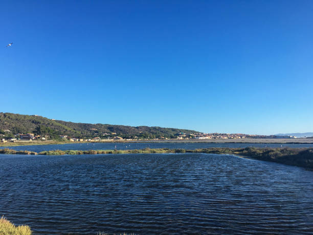 istock Salt lake in Carloforte, Sardinia - Italy 1391787914