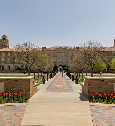 Buildings in University of Texas, city Autin USA.