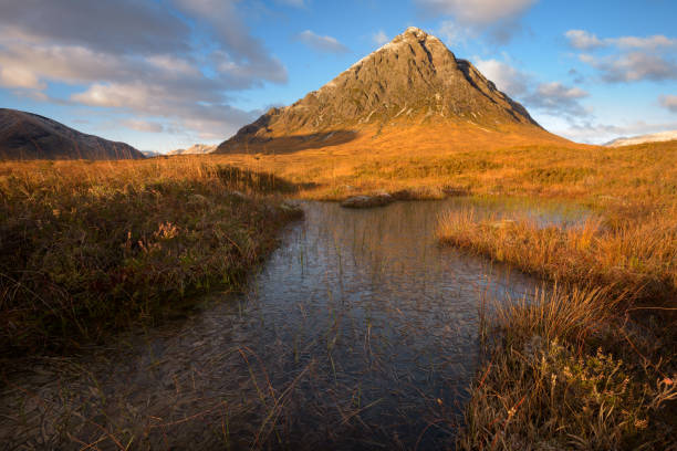 Morning Light At The Buachaille, Glencoe, UK. Beautiful sunny morning with blue sky and fluffy clouds at Glencoe in the Scottish Highlands, UK. Stunning Autumn landscape! buachaille etive beag photos stock pictures, royalty-free photos & images