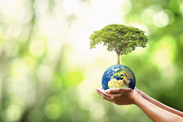 istock hand holding globe with planting trees and blurry green nature ecological concept. Elements of this image furnished NASA 1391790213